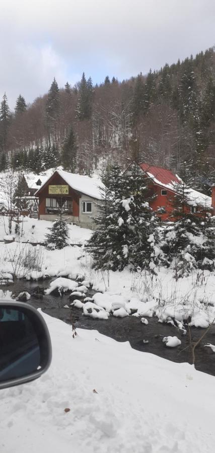 Cabana Valea Stanciului เรอคิตเซเล ภายนอก รูปภาพ