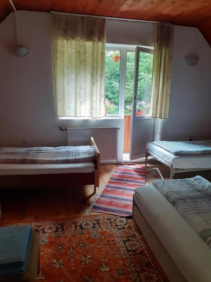 Cabana Valea Stanciului เรอคิตเซเล ภายนอก รูปภาพ