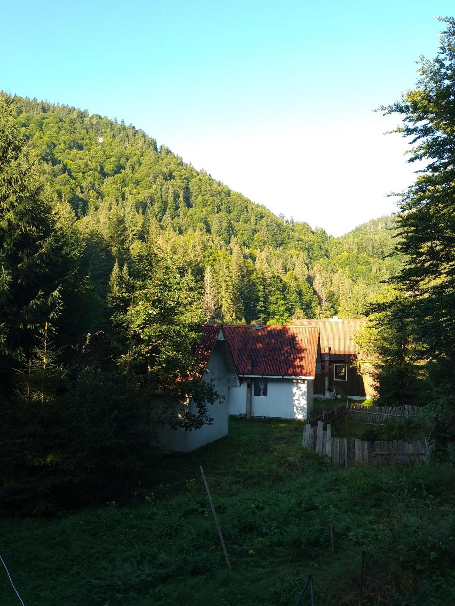 Cabana Valea Stanciului เรอคิตเซเล ภายนอก รูปภาพ